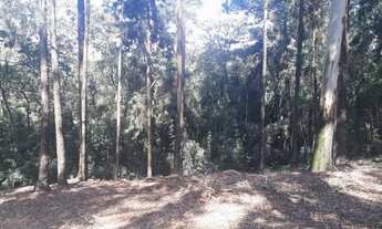 Imagem 7: Terreno à venda, 1939 m² por R$ 469.449,00 - Residencial Morada dos Lagos - Barueri/SP