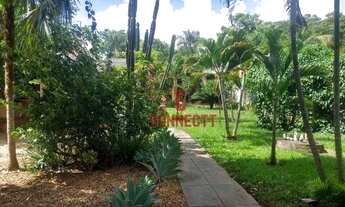 Imagem 7: Chácara à venda, 5000 m² por R$ 1.200.000,00 - Recreio Internacional - Ribeirão Preto/SP