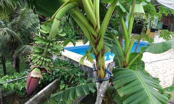 Imagem 3: Oportunidade- Abaixo do valor-Chácara 1500 m²- Santa Branca- R$ 430 mil- Com escritura