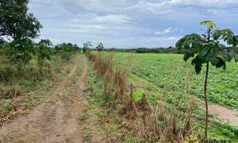 Imagem 3: Fazenda à venda, 1.100 Hectares em Araguacema do Tocantins