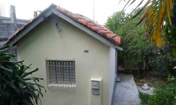 Imagem: Térrea para aluguel possui 50 metros quadrados