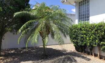 Imagem 4: Sobrado para venda tem 175 metros quadrados com 3 quartos em Córrego Grande - Florianópoli