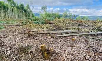 Imagem 5: Lote/Terreno para venda tem 999 metros quadrados em aterrado - Salesópolis - São Paulo