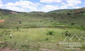 Imagem 4: Pescador - Fazenda - Zona Rural Pescador