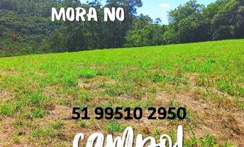 Imagem 4: 2 HECTARES COM LINDO RIACHO EM ITACOLOMI