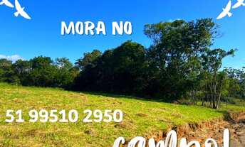 Imagem 4: CHÁCARA 2 HECTARES COM ESCRITURA EM MORUNGAVA