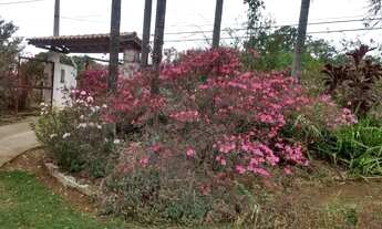 Imagem 5: Chacara em frente para rodovia raposo tavares