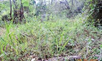 Imagem 5: Bela área de 77.000 m² com infraestrutura iniciada (Vende Separadamente