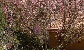 Imagem 5: Pousada à venda, 1000 m² por R$ 3.500.000,00 - Campos Do Jordão - Campos do Jordão/SP