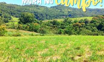 Imagem 5: 2 HECTARES COM LINDO RIACHO EM ITACOLOMI