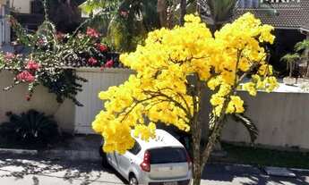 Imagem 5: Camboinha uma quadra Praia