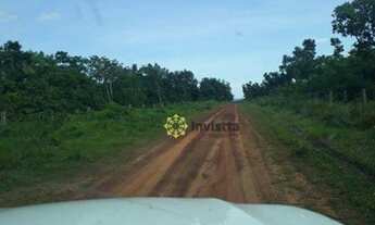 Imagem 2: Fazenda à venda, 720 Hectares em Abreulândia do Tocantins