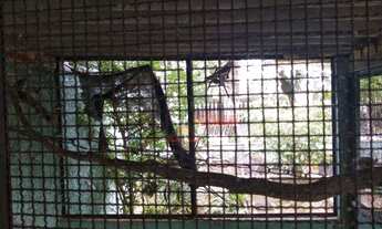 Imagem 6: Sobrado com 4 dormitórios à venda, 150 m² por R$ 1.250.000 - Vila Liviero - São Paulo/SP