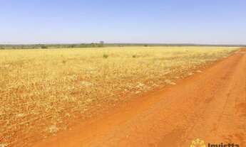 Imagem 3: Fazenda à venda, 976 Hectares em Santa Rita do Tocantins/TO