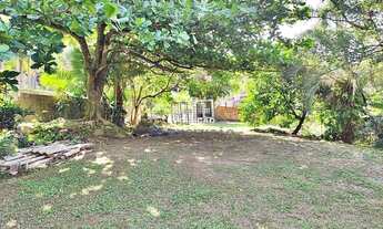 Imagem 3: Sítio 3.000,00m², Vargem do Bom Jesus, Florianópolis/SC