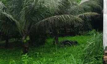 Imagem 3: Casa com ótimo terreno na pajuçara