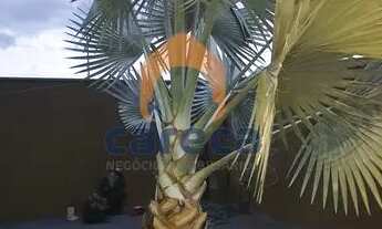 Imagem 3: Casa para Venda em Bady Bassitt, MENEZES 4, 2 dormitórios, 1 suíte, 3 banheiros, 2 vagas