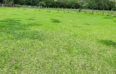 Imagem 5: LP- Vende-se terrenos próximo a represa