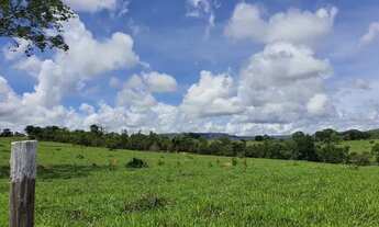 Imagem: Fazenda 795 alqueires em Caiapônia-GO