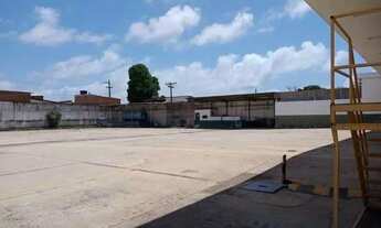 Imagem: ALG Galpão com 6000m2 com 20 câmaras no