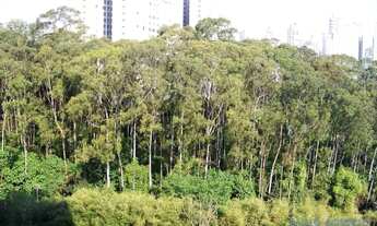 Imagem 3: APARTAMENTO - MORUMBI - SP