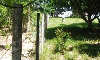 Imagem 4: Chacara ,terreno monte alto