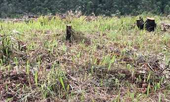 Imagem 3: Compre seu terreno em Mairiporã e construa a casa dos seus sonhos!