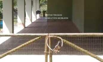 Imagem 5: FAZENDA RURAL em CAMAÇARI - BA, AREIAS (ABRANTES