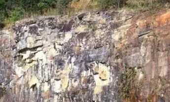 Imagem 4: LINDO TERRENO DE 1000 MTS EM JOANOPOLIS