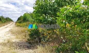 Imagem 6: JANAúBA - Fazenda - Zona Rural