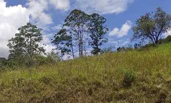 Imagem 6: 2,4 Hectares em pasto com casa simples 200 mil reais