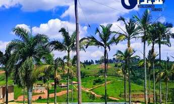 Imagem 7: 29TVOCÊ VAI AMAR MEU LOTE