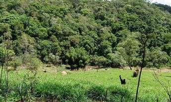 Imagem 3: TERRENOS PARA CHACARAS