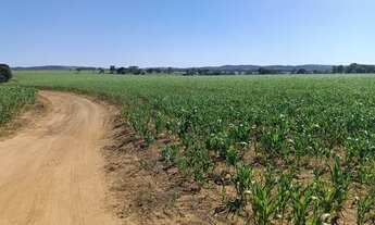 Imagem 3: Fazenda em ARAGOIÂNIA 10 Alqueires plantado lavoura!!