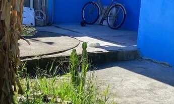 Imagem 6: Casa para alugar