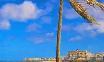 Imagem 4: Apartamento para venda possui 77 metros quadrados com 2 quartos em Pituba - Salvador - BA