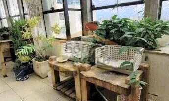 Imagem 5: SãO PAULO - Apartamento Padrão - Barro Branco (Zona Norte