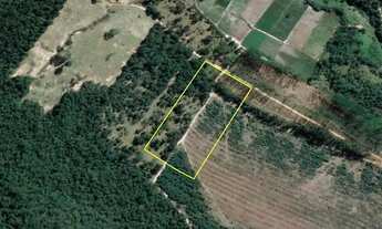 Imagem: Mateus Leme/MG - Fazendinha das Paineiras