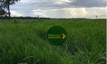 Imagem 3: Fazenda à venda, 12000000 m² por R$ 42.000.000 - Zona Rural - Alta Floresta/MT