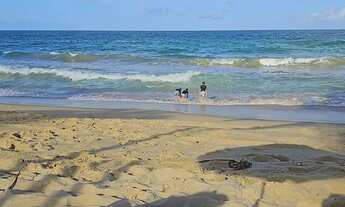 Imagem: Flat aluguel Porto de Galinhas - Muro Alto