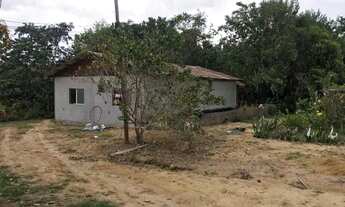 Imagem 4: Terreno novo Airão (agricultura