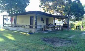 Imagem 3: Fazendinha Chácara com venda por R$185.000