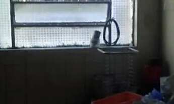 Imagem 7: 3 barracões (mesmo lote) na gameleira. venda ou troca por 2 barracões em s.j. de bicas