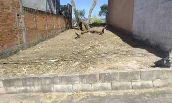 Imagem 2: NGC/Terreno com 132m² - Jardim Santa Luzia - PRONTO PRA CONSTRUIR! OPORTUNIDADE!