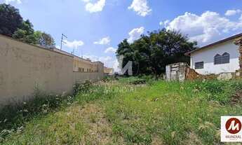 Imagem 2: Terreno (terreno normal