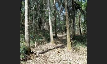 Imagem 5: TERRENOS PARA CHACARAS