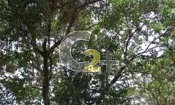 Imagem 4: APARTAMENTO - HIGIENOPOLIS - 2 DORMITORIOS - REFORMADO - SEM VAGA