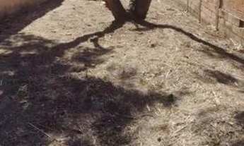 Imagem 5: NGC/Terreno com 132m² - Jardim Santa Luzia - PRONTO PRA CONSTRUIR! OPORTUNIDADE!