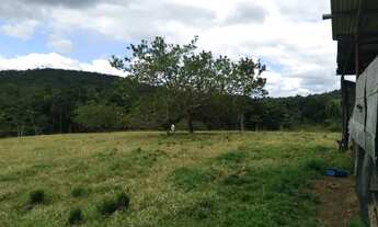 Imagem 4: Fazendinha Chácara com venda por R$185.000