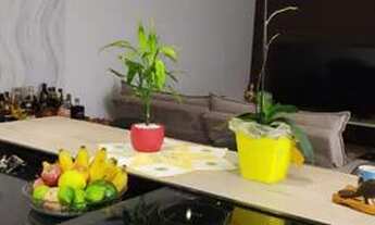 Imagem 2: Belo apto finamente mobiliado com 02 quartos sendo 01 suíte - Ingleses